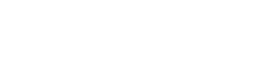 financiado por la ue